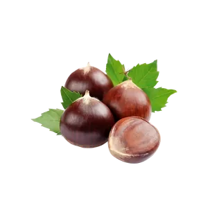Kestane — t sesi ortada kelime kartı