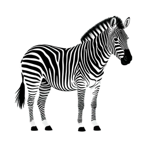 Zebra — hayvan kartı