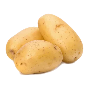 Patates — s sesi sonda kelime kartı
